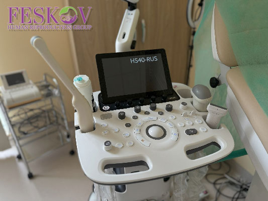 Diferencias m&eacute;dicas y legales entre la subrogaci&oacute;n gestacional y la subrogaci&oacute;n tradicional