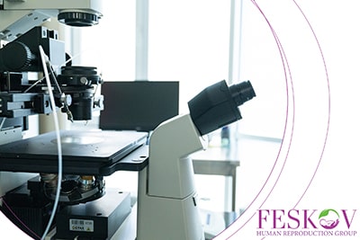 desventajas de la donación de óvulos