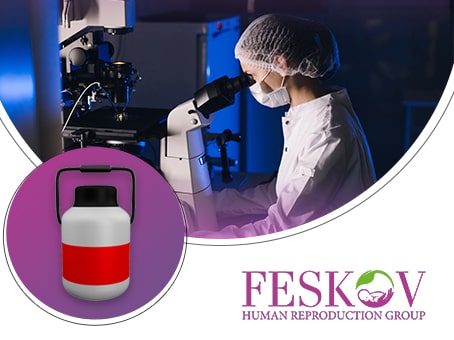 ¿Por qué el procedimiento de transporte de óvulos criopreservados en la agencia de gestación subrogada de Feskov es eficaz también en su caso? imagen