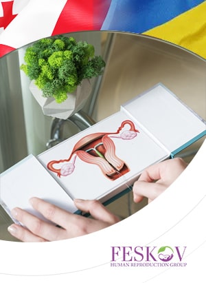 Maternidad subrogada en Georgia y Ucrania: ¿dónde las condiciones están mejor?