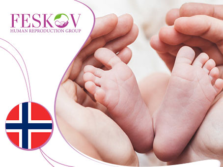 un blog: Donación de óvulos en Noruega imagen