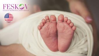 rewiews H****** y P********