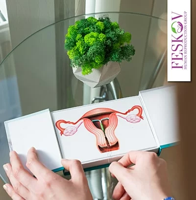 diferencia imsi icsi