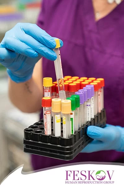 donante de &oacute;vulos con alto coeficiente intelectual