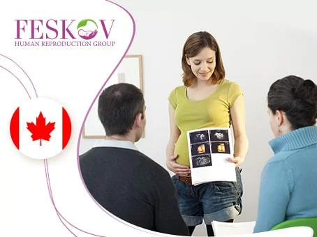 Gestación subrogada en Canadá: una guía para futuros padres imagen