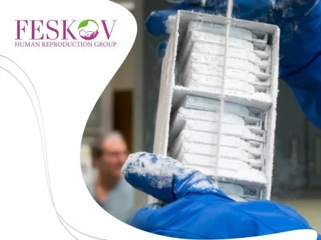 ¿Qué es un criobanco? imagen