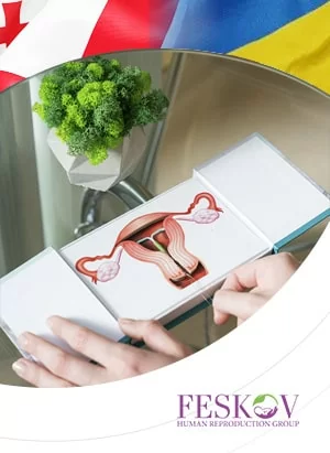 Maternidad subrogada en Georgia y Ucrania: &iquest;d&oacute;nde las condiciones est&aacute;n mejor?