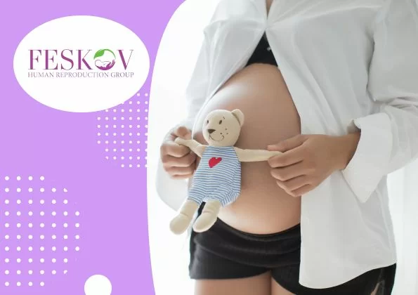 ¿Qué son los folículos ováricos y por qué son importantes para mi fertilidad? - 1