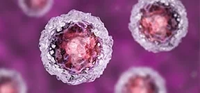 Tratamiento con células madre en la FIV Tratamiento con células madre en la FIV