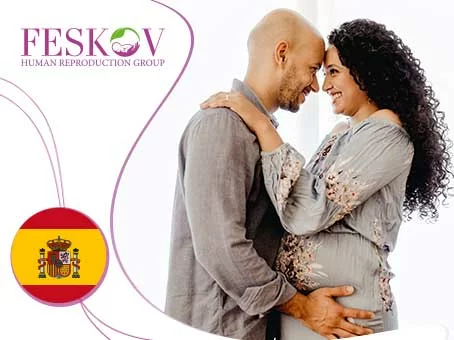 un blog: El costo de la FIV con la donación de óvulos en España imagen