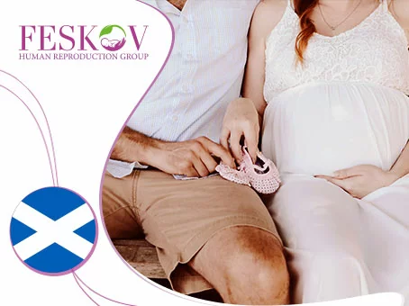 un blog: Donación de óvulos en Escocia imagen