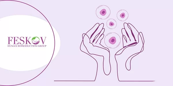 Beneficios de la donación de óvulos Beneficios de la donación de óvulos