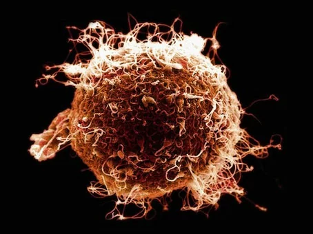 ¿Cuáles son los riesgos para los donantes de óvulos? imagen