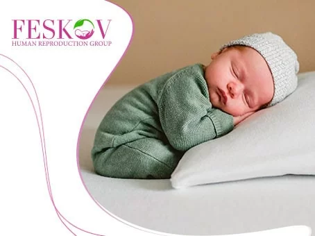 un blog: 22 términos de gestación subrogada que debe conocer: guía para madres sustitutas y padres imagen